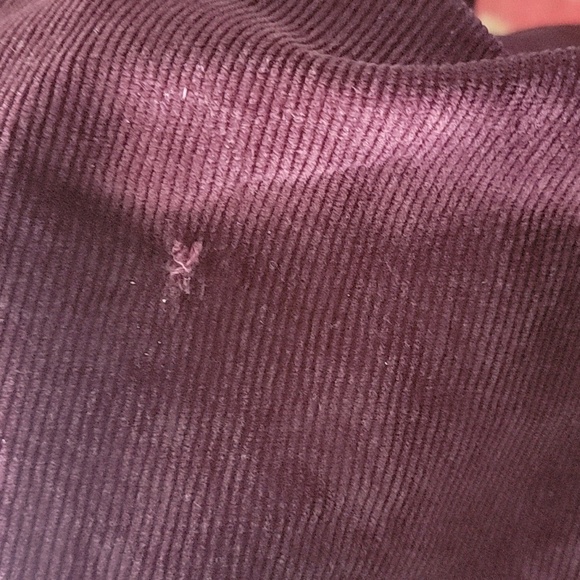 Pilcro and the Letterpress Purple Boot Cut Corduroy Pants - Picture 8 of 10